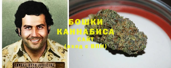 ECSTASY Каменка